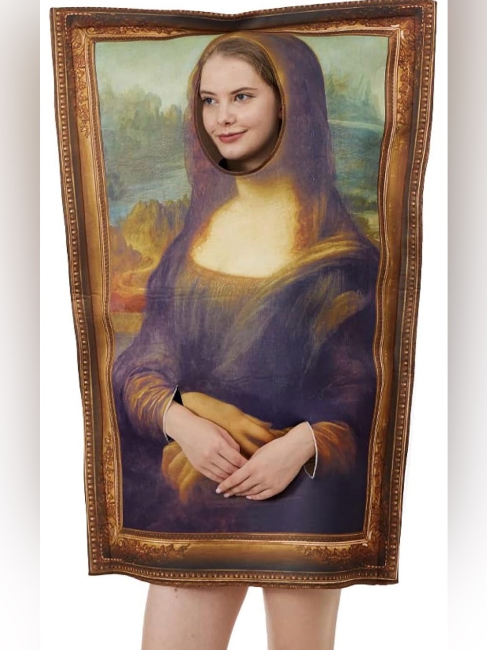 Framed Mona Lisa Picture Wall Art Halloween Party Costume Unique Funny